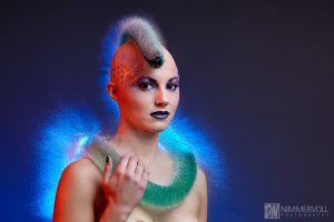 Wasserperücke - Water wigs von Daniel Nimmervoll